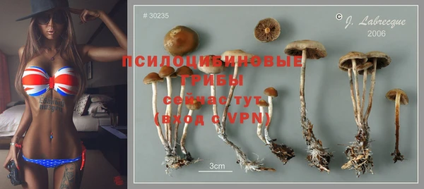 прущие крисы Наволоки