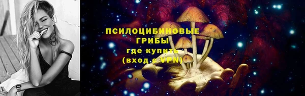 spice Надым