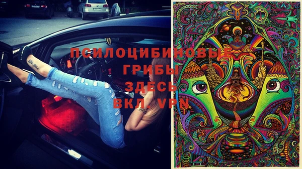 прущие крисы Наволоки