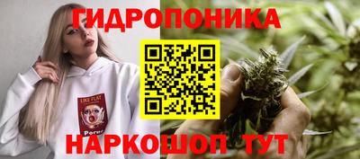 молекула духа Можайск