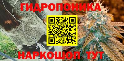 кокс Моздок