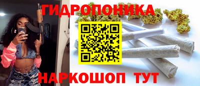 крисы Будённовск