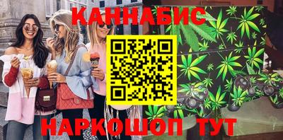 крисы Будённовск