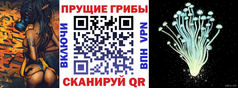 Галлюциногенные грибы ЛСД  Чусовой 