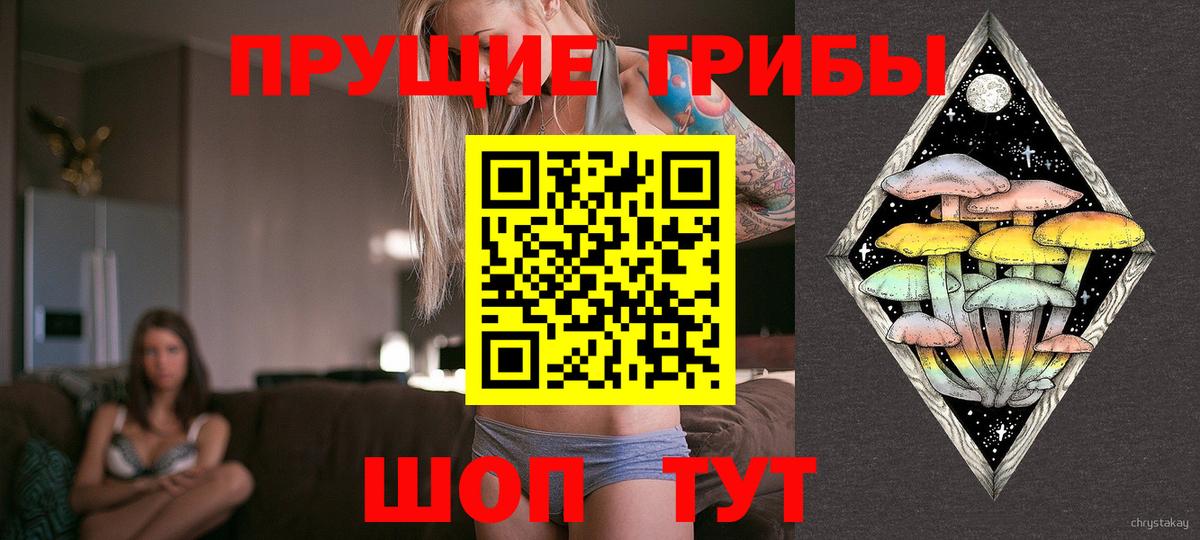 Псилоцибиновые грибы Cubensis Чусовой