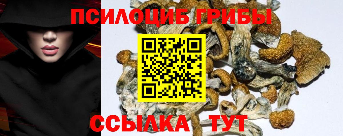 Чусовой  Псилоцибиновые грибы мухоморы  Вход с VPN 