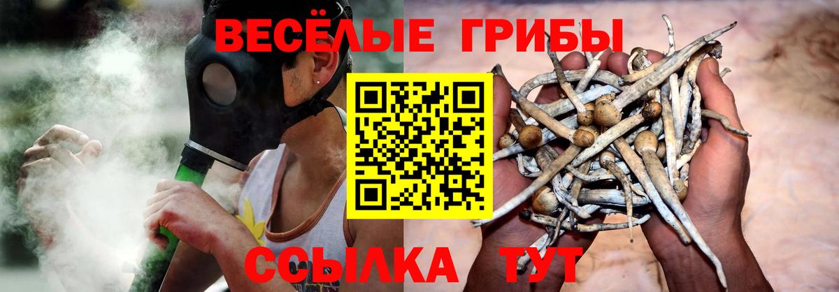 Галлюциногенные грибы Psilocybe Чусовой